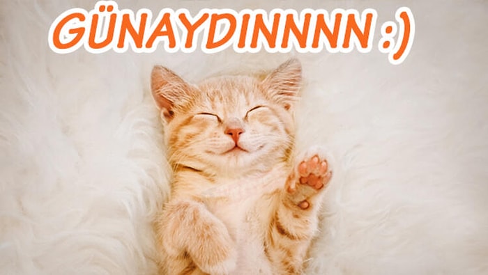 Sevgiliye, Arkadaşa En Güzel En İçten Günaydın Mesajları 2021! Tüm Sevdiklerine En Anlamlı Günaydın Sözleri...