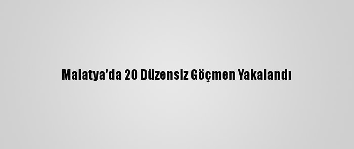 Malatya'da 20 Düzensiz Göçmen Yakalandı