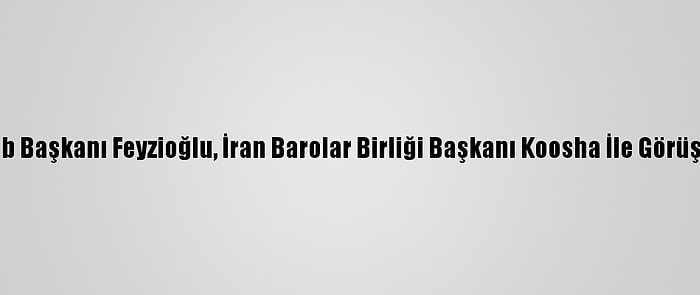 Tbb Başkanı Feyzioğlu, İran Barolar Birliği Başkanı Koosha İle Görüştü