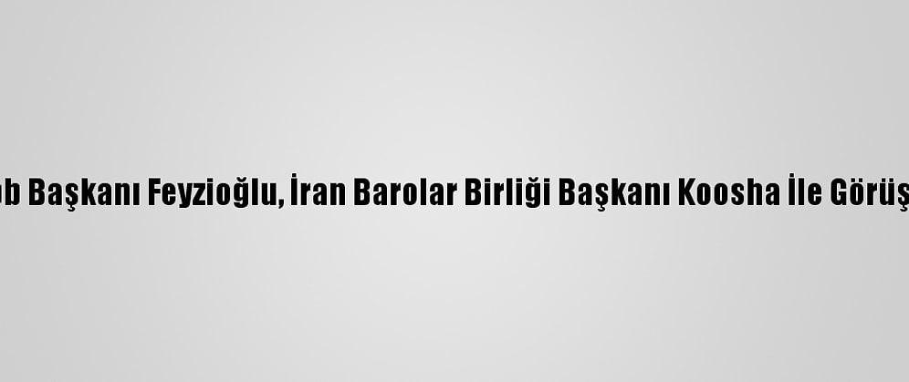 Tbb Başkanı Feyzioğlu, İran Barolar Birliği Başkanı Koosha İle Görüştü