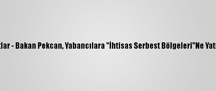 Yatırımcılara Altın Fırsatlar - Bakan Pekcan, Yabancılara "İhtisas Serbest Bölgeleri"Ne Yatırım Davetinde Bulundu: