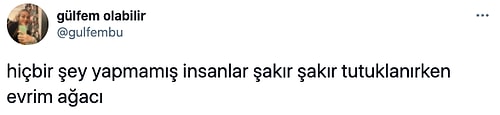 Evrim Ağacı, Twitter'da Gündeme Getirdiği 'Türkiye'de İdam Cezası' Başlıklı Anketle Tepkilerin Odağında