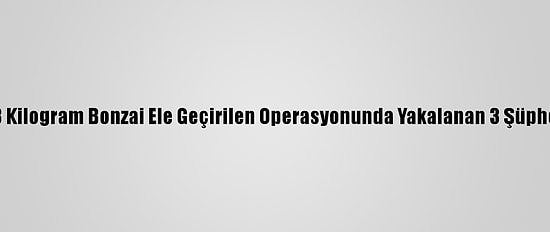 İstanbul'da 13 Kilogram Bonzai Ele Geçirilen Operasyonunda Yakalanan 3 Şüpheli Tutuklandı
