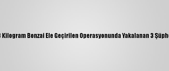 İstanbul'da 13 Kilogram Bonzai Ele Geçirilen Operasyonunda Yakalanan 3 Şüpheli Tutuklandı