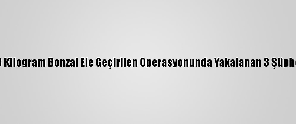 İstanbul'da 13 Kilogram Bonzai Ele Geçirilen Operasyonunda Yakalanan 3 Şüpheli Tutuklandı