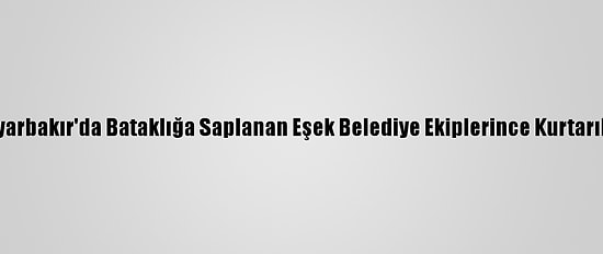 Diyarbakır'da Bataklığa Saplanan Eşek Belediye Ekiplerince Kurtarıldı