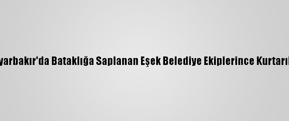 Diyarbakır'da Bataklığa Saplanan Eşek Belediye Ekiplerince Kurtarıldı