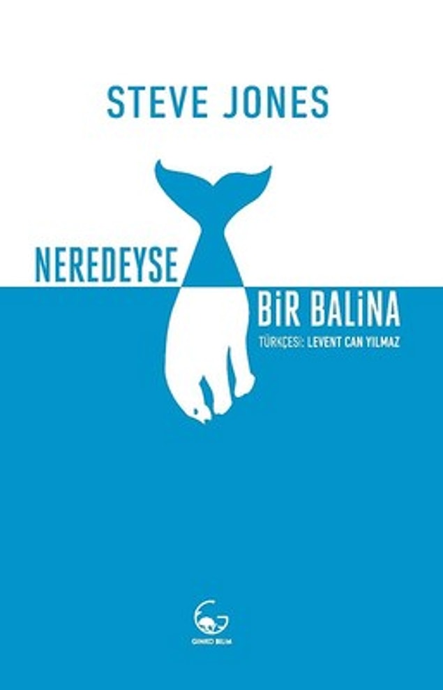 6. Neredeyse Bir Balina, Steve Jones
