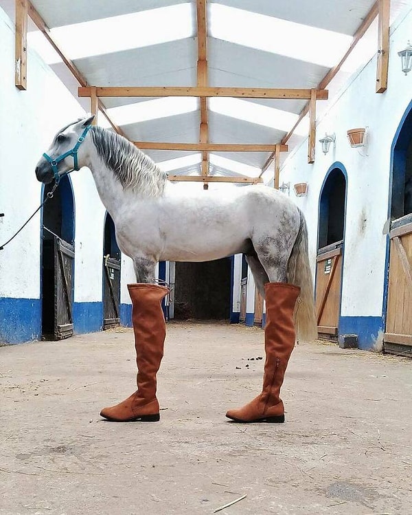 8. Сели как влитые!