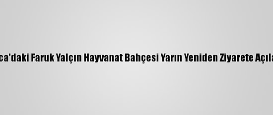 Darıca'daki Faruk Yalçın Hayvanat Bahçesi Yarın Yeniden Ziyarete Açılacak