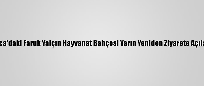 Darıca'daki Faruk Yalçın Hayvanat Bahçesi Yarın Yeniden Ziyarete Açılacak