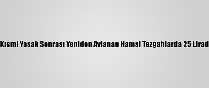 Samsun'da Kısmi Yasak Sonrası Yeniden Avlanan Hamsi Tezgahlarda 25 Liradan Satılıyor