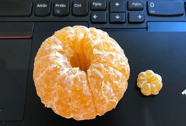 2. Этот маленький мандарин был внутри большого. Кажется вы стали свидетелем рождения новой жизни