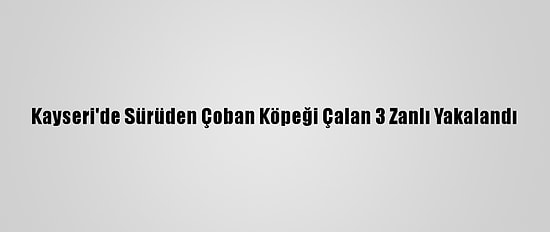 Kayseri'de Sürüden Çoban Köpeği Çalan 3 Zanlı Yakalandı