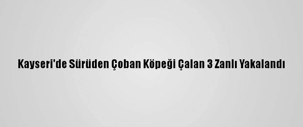 Kayseri'de Sürüden Çoban Köpeği Çalan 3 Zanlı Yakalandı