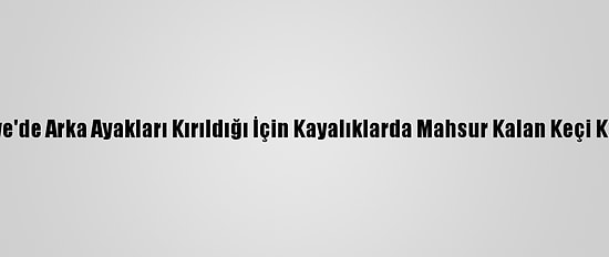 Osmaniye'de Arka Ayakları Kırıldığı İçin Kayalıklarda Mahsur Kalan Keçi Kurtarıldı