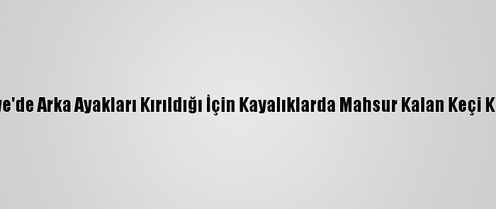 Osmaniye'de Arka Ayakları Kırıldığı İçin Kayalıklarda Mahsur Kalan Keçi Kurtarıldı