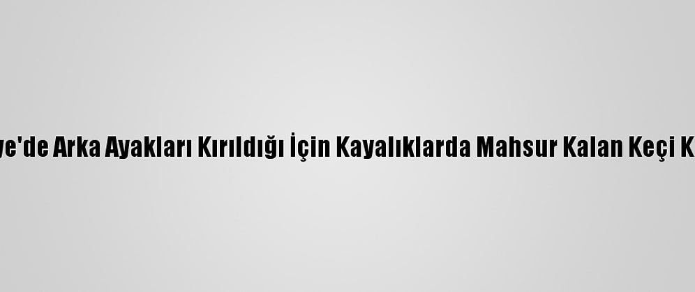 Osmaniye'de Arka Ayakları Kırıldığı İçin Kayalıklarda Mahsur Kalan Keçi Kurtarıldı