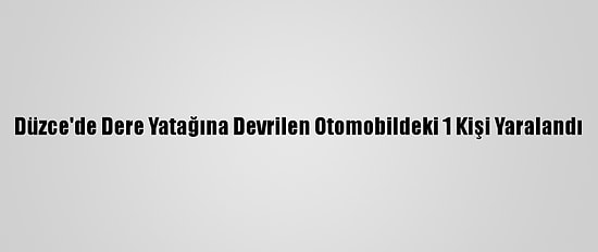 Düzce'de Dere Yatağına Devrilen Otomobildeki 1 Kişi Yaralandı
