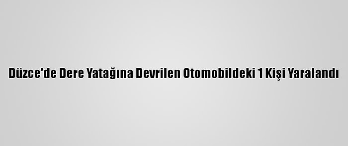 Düzce'de Dere Yatağına Devrilen Otomobildeki 1 Kişi Yaralandı