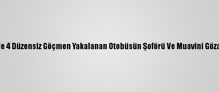 Osmaniye'de 4 Düzensiz Göçmen Yakalanan Otobüsün Şoförü Ve Muavini Gözaltına Alındı