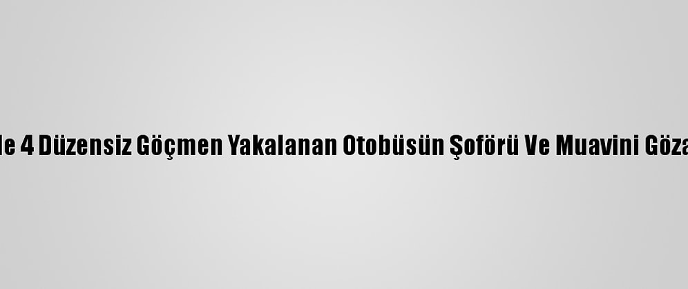 Osmaniye'de 4 Düzensiz Göçmen Yakalanan Otobüsün Şoförü Ve Muavini Gözaltına Alındı