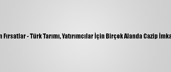 Yatırımcılara Altın Fırsatlar - Türk Tarımı, Yatırımcılar İçin Birçok Alanda Cazip İmkanlar Barındırıyor