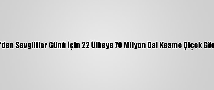 Türkiye'den Sevgililer Günü İçin 22 Ülkeye 70 Milyon Dal Kesme Çiçek Gönderildi