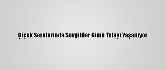 Çiçek Seralarında Sevgililer Günü Telaşı Yaşanıyor