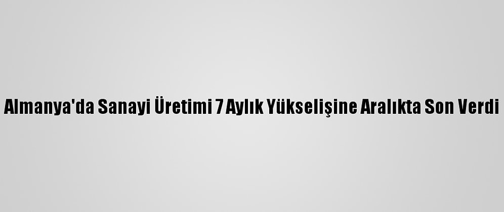 Almanya'da Sanayi Üretimi 7 Aylık Yükselişine Aralıkta Son Verdi
