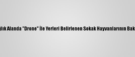 Van'da Dağlık Alanda "Drone" İle Yerleri Belirlenen Sokak Hayvanlarının Bakımı Yapıldı