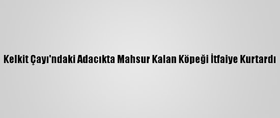 Kelkit Çayı'ndaki Adacıkta Mahsur Kalan Köpeği İtfaiye Kurtardı