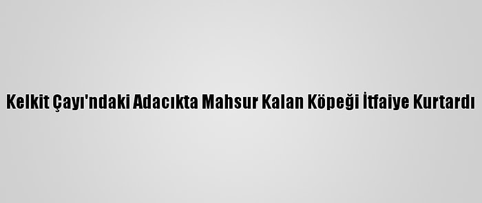 Kelkit Çayı'ndaki Adacıkta Mahsur Kalan Köpeği İtfaiye Kurtardı