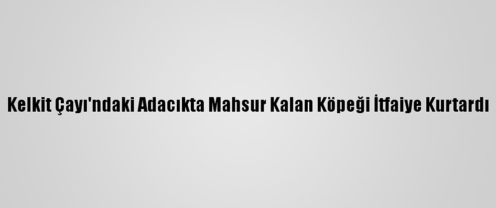 Kelkit Çayı'ndaki Adacıkta Mahsur Kalan Köpeği İtfaiye Kurtardı