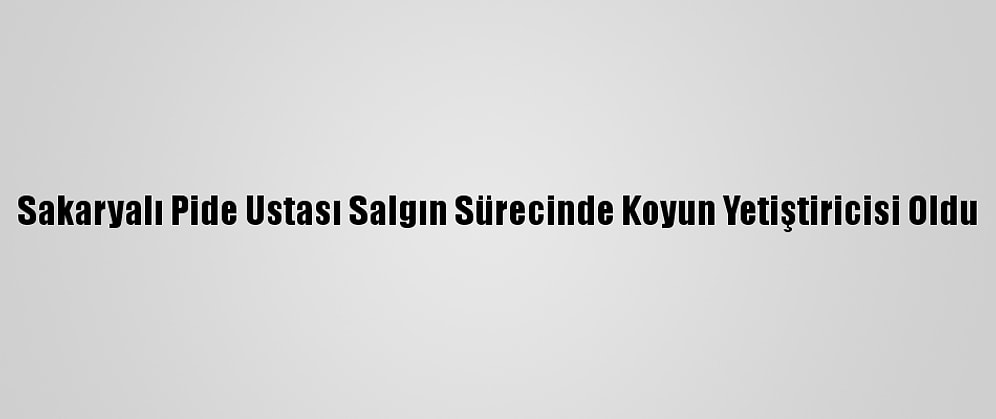 Sakaryalı Pide Ustası Salgın Sürecinde Koyun Yetiştiricisi Oldu