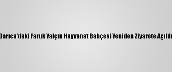 Darıca'daki Faruk Yalçın Hayvanat Bahçesi Yeniden Ziyarete Açıldı