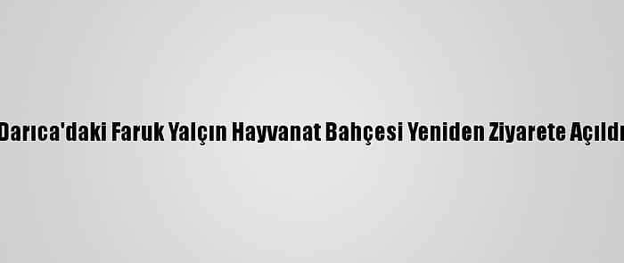 Darıca'daki Faruk Yalçın Hayvanat Bahçesi Yeniden Ziyarete Açıldı