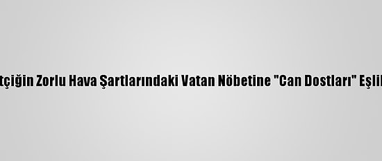 Mehmetçiğin Zorlu Hava Şartlarındaki Vatan Nöbetine "Can Dostları" Eşlik Ediyor