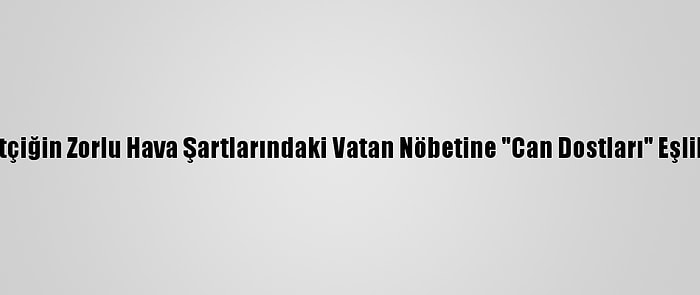 Mehmetçiğin Zorlu Hava Şartlarındaki Vatan Nöbetine "Can Dostları" Eşlik Ediyor