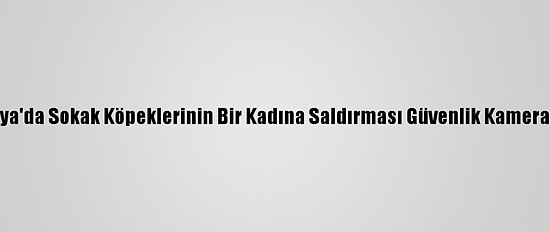 Malatya'da Sokak Köpeklerinin Bir Kadına Saldırması Güvenlik Kamerasında