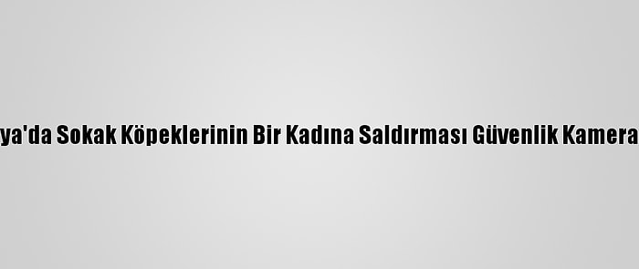 Malatya'da Sokak Köpeklerinin Bir Kadına Saldırması Güvenlik Kamerasında