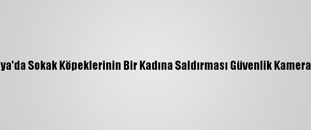 Malatya'da Sokak Köpeklerinin Bir Kadına Saldırması Güvenlik Kamerasında