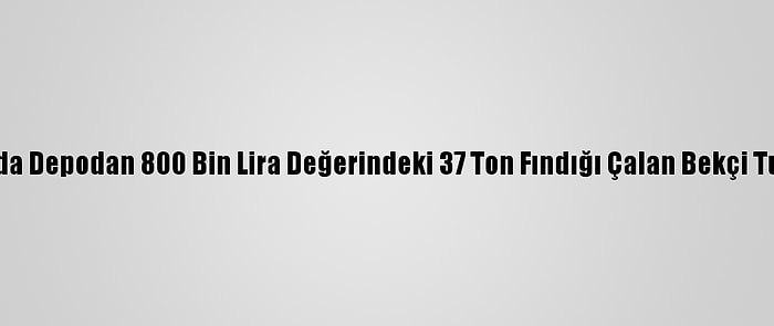 Sakarya'da Depodan 800 Bin Lira Değerindeki 37 Ton Fındığı Çalan Bekçi Tutuklandı