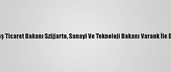 Macaristan Dışişleri Ve Dış Ticaret Bakanı Szijjarto, Sanayi Ve Teknoloji Bakanı Varank İle Basın Açıklaması Yaptı: (2)