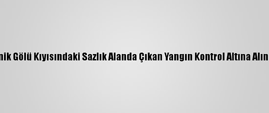 İznik Gölü Kıyısındaki Sazlık Alanda Çıkan Yangın Kontrol Altına Alındı