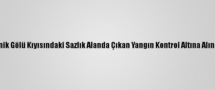 İznik Gölü Kıyısındaki Sazlık Alanda Çıkan Yangın Kontrol Altına Alındı