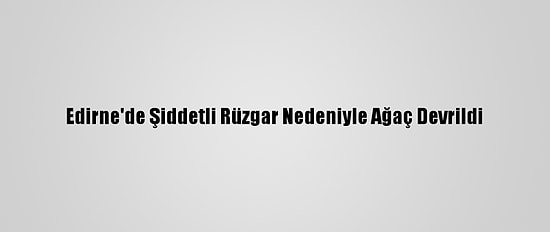 Edirne'de Şiddetli Rüzgar Nedeniyle Ağaç Devrildi