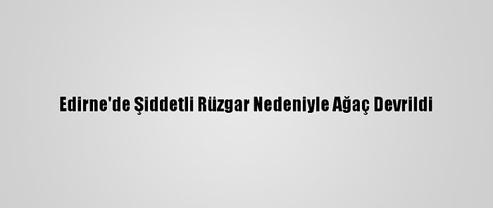 Edirne'de Şiddetli Rüzgar Nedeniyle Ağaç Devrildi