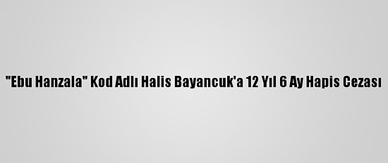 "Ebu Hanzala" Kod Adlı Halis Bayancuk'a 12 Yıl 6 Ay Hapis Cezası