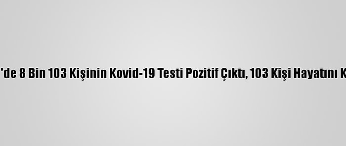 Türkiye'de 8 Bin 103 Kişinin Kovid-19 Testi Pozitif Çıktı, 103 Kişi Hayatını Kaybetti